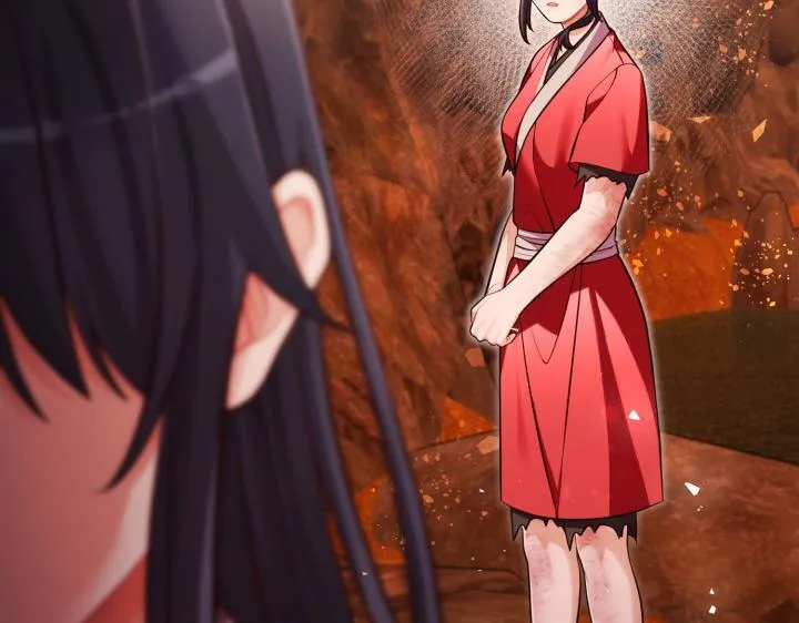 第204页