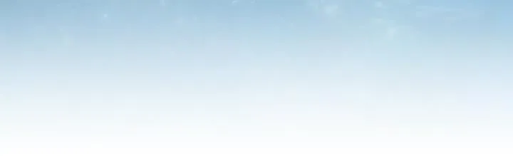 第438页