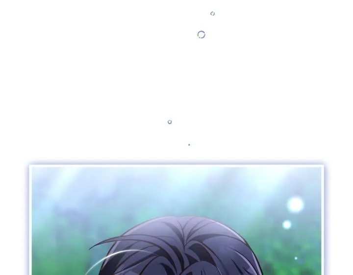 第291页