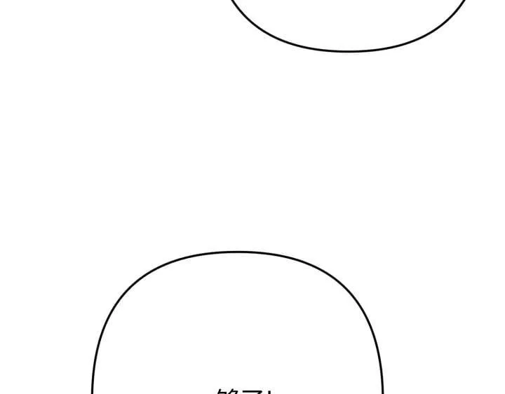 第333页