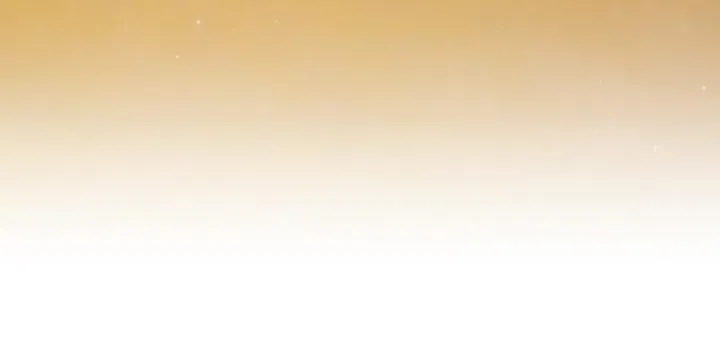 第558页