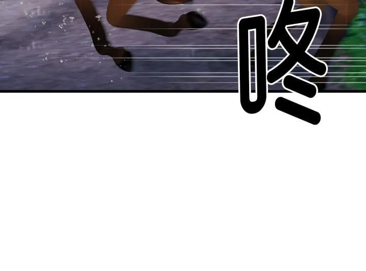 第333页