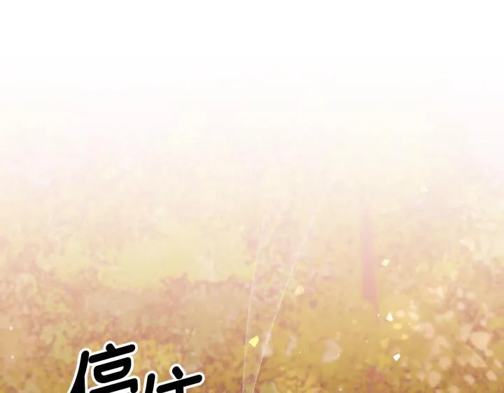 第369页