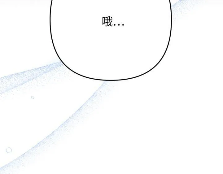 第333页