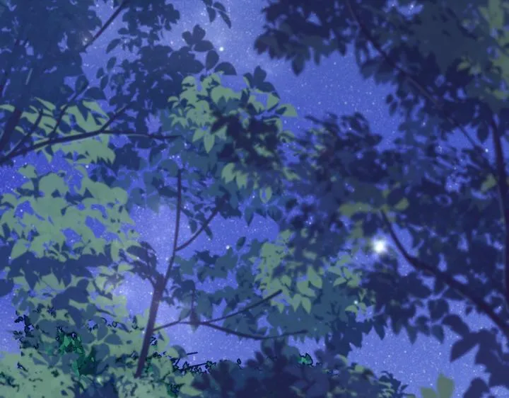 第558页