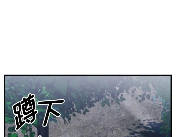 第258页