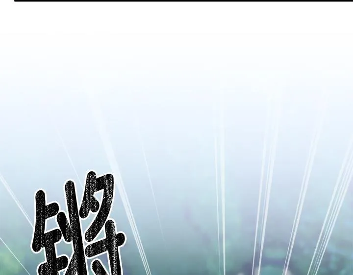 第240页