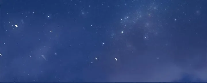 第411页