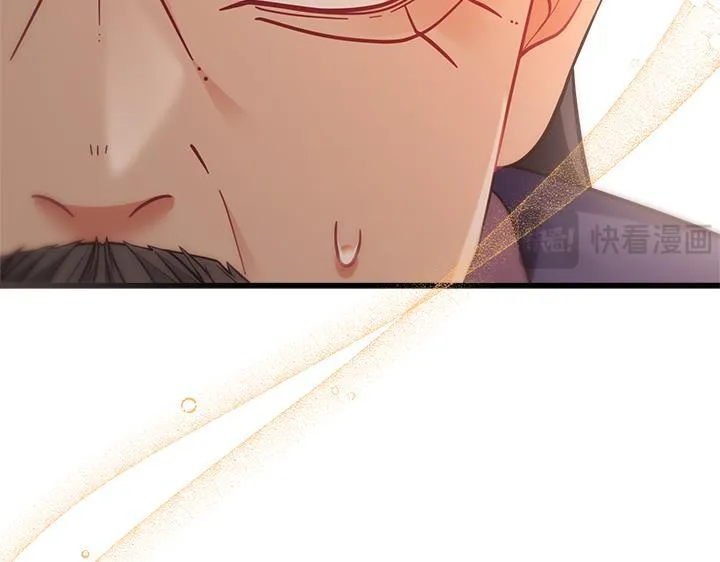 第258页