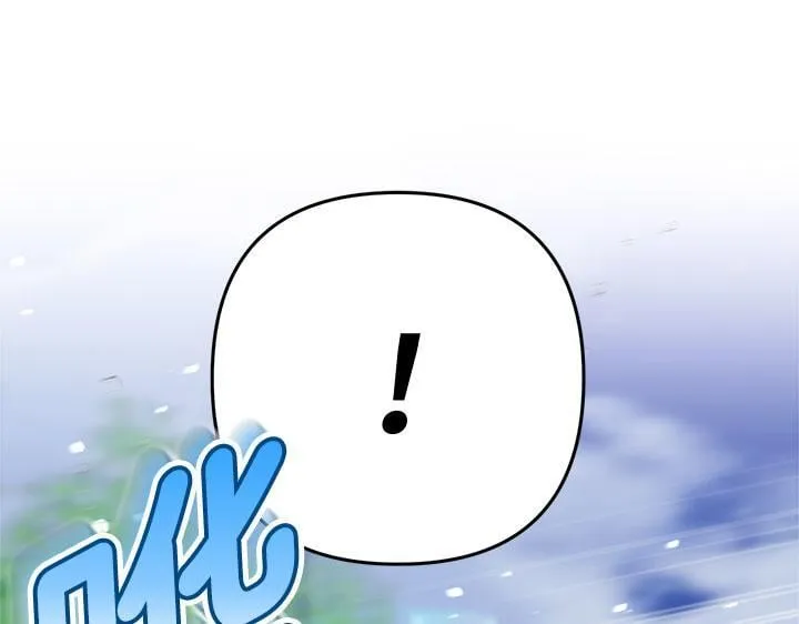 第243页