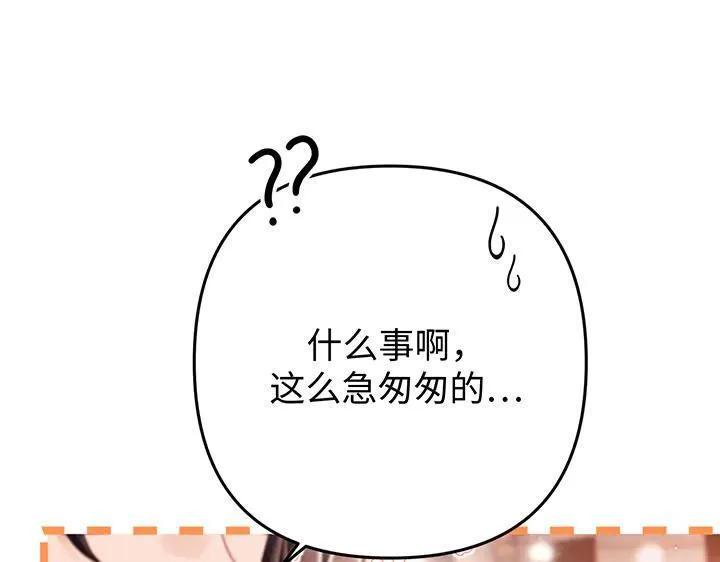 第558页
