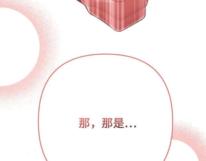 第447页