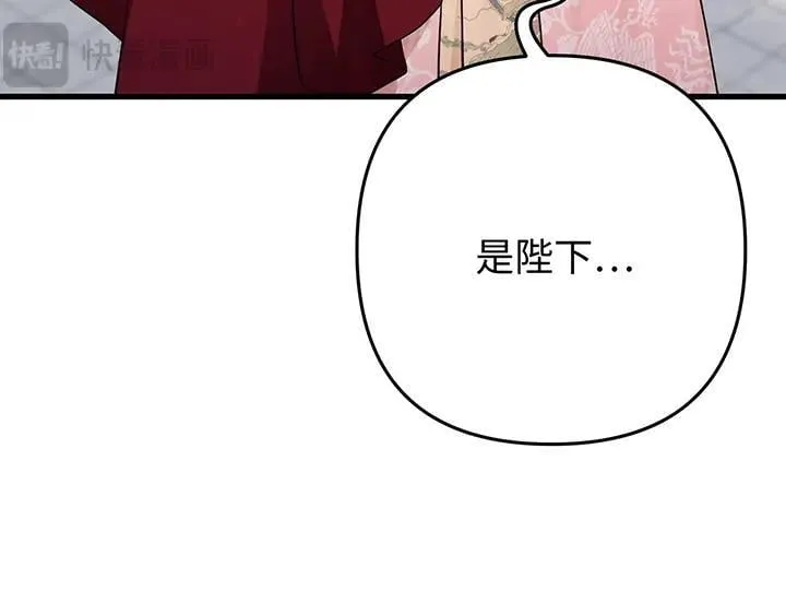第564页
