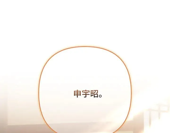 第531页