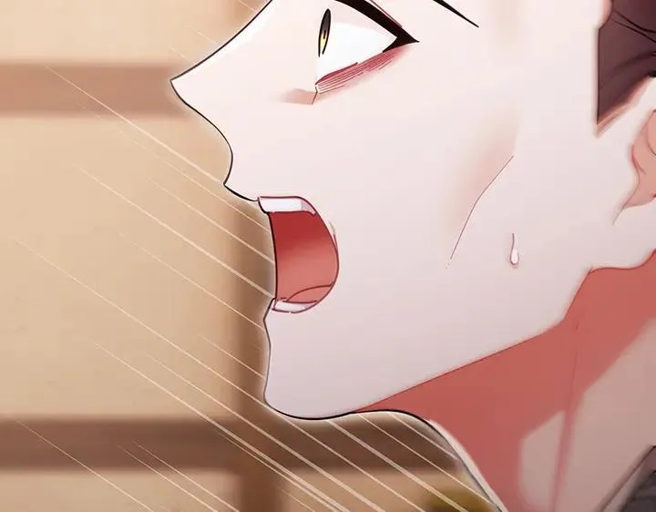 第339页