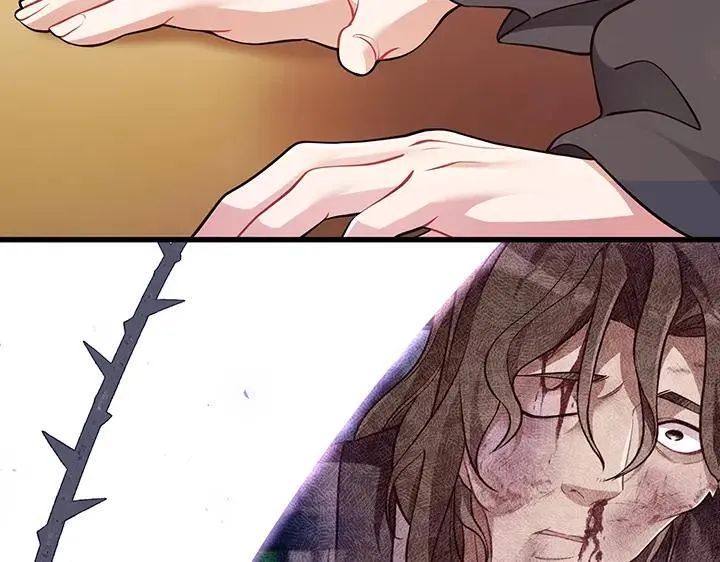 第264页