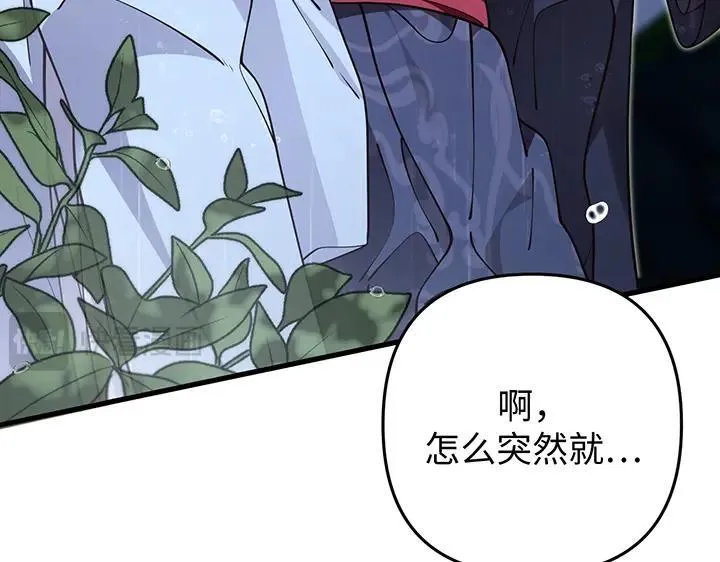 第528页