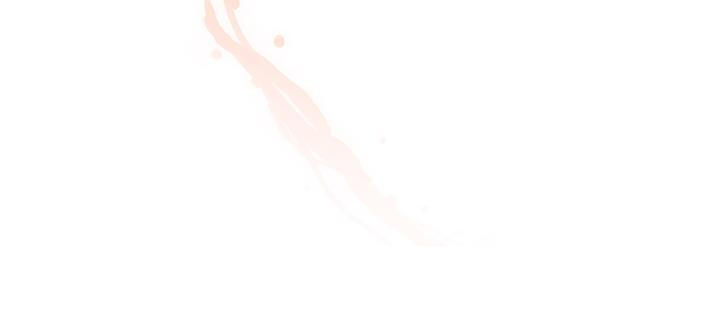 第528页