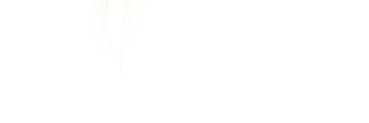 第255页