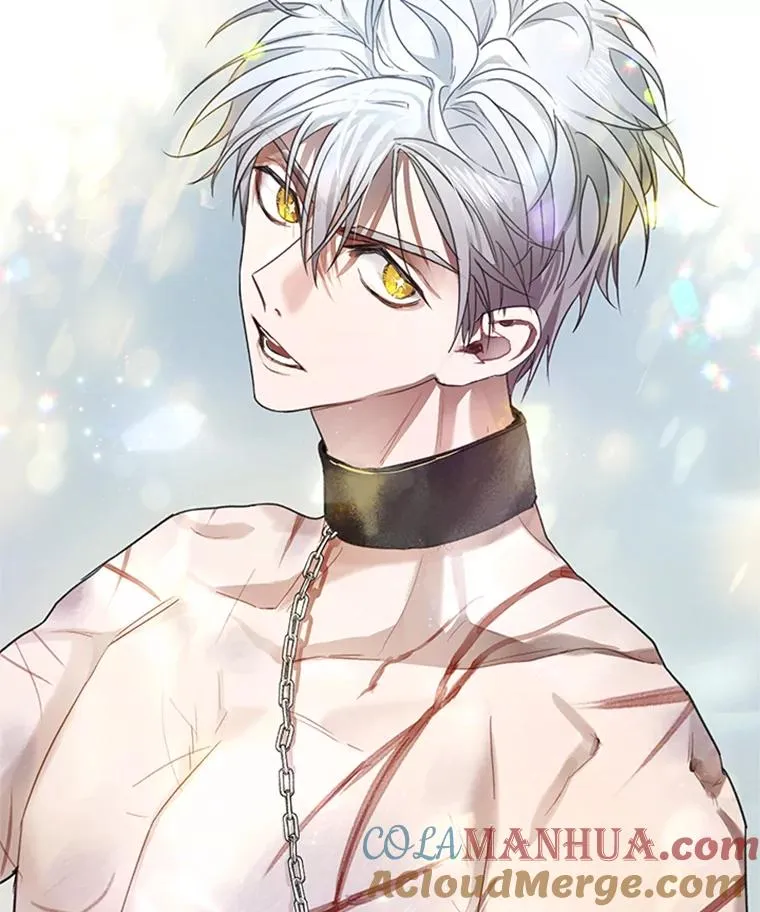 第252页