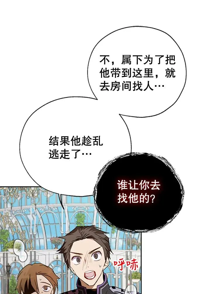 第204页