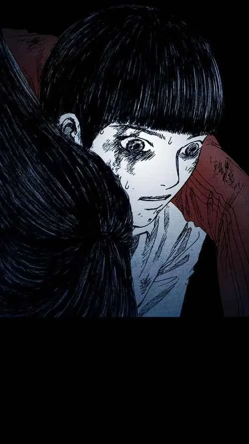 第255页