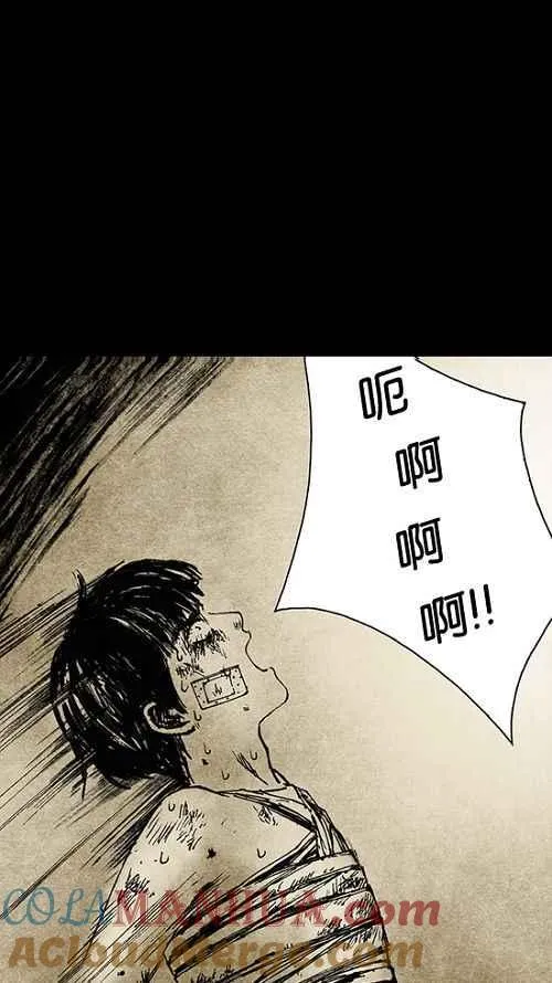 第204页
