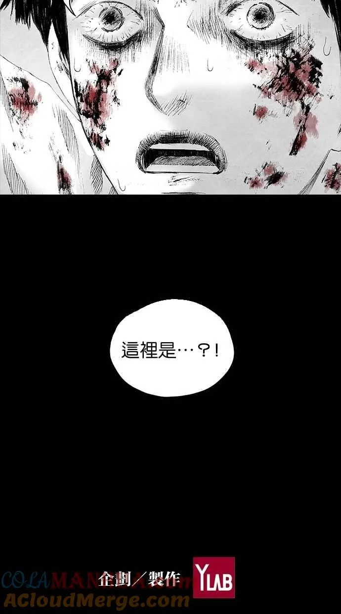 第234页