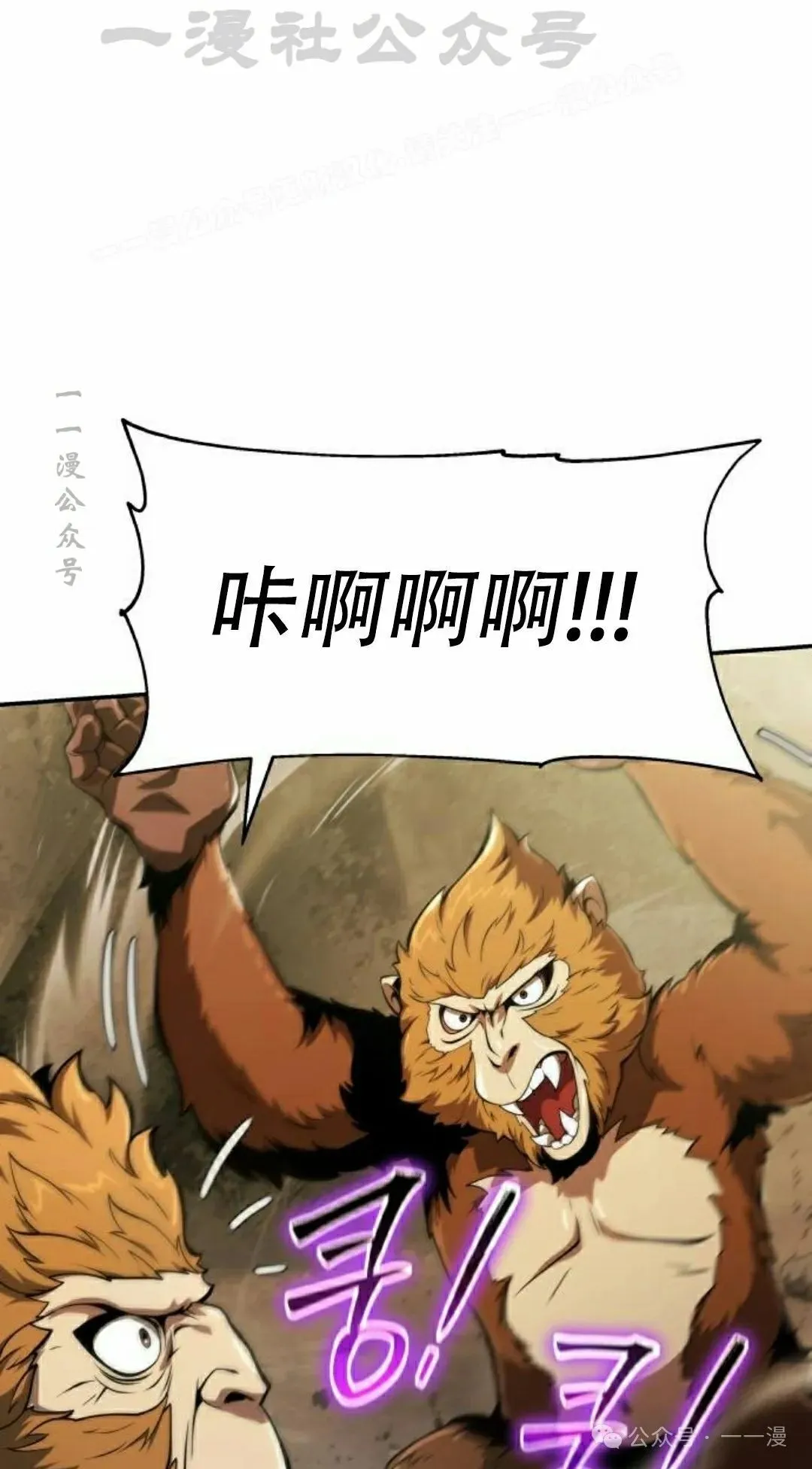 第219页