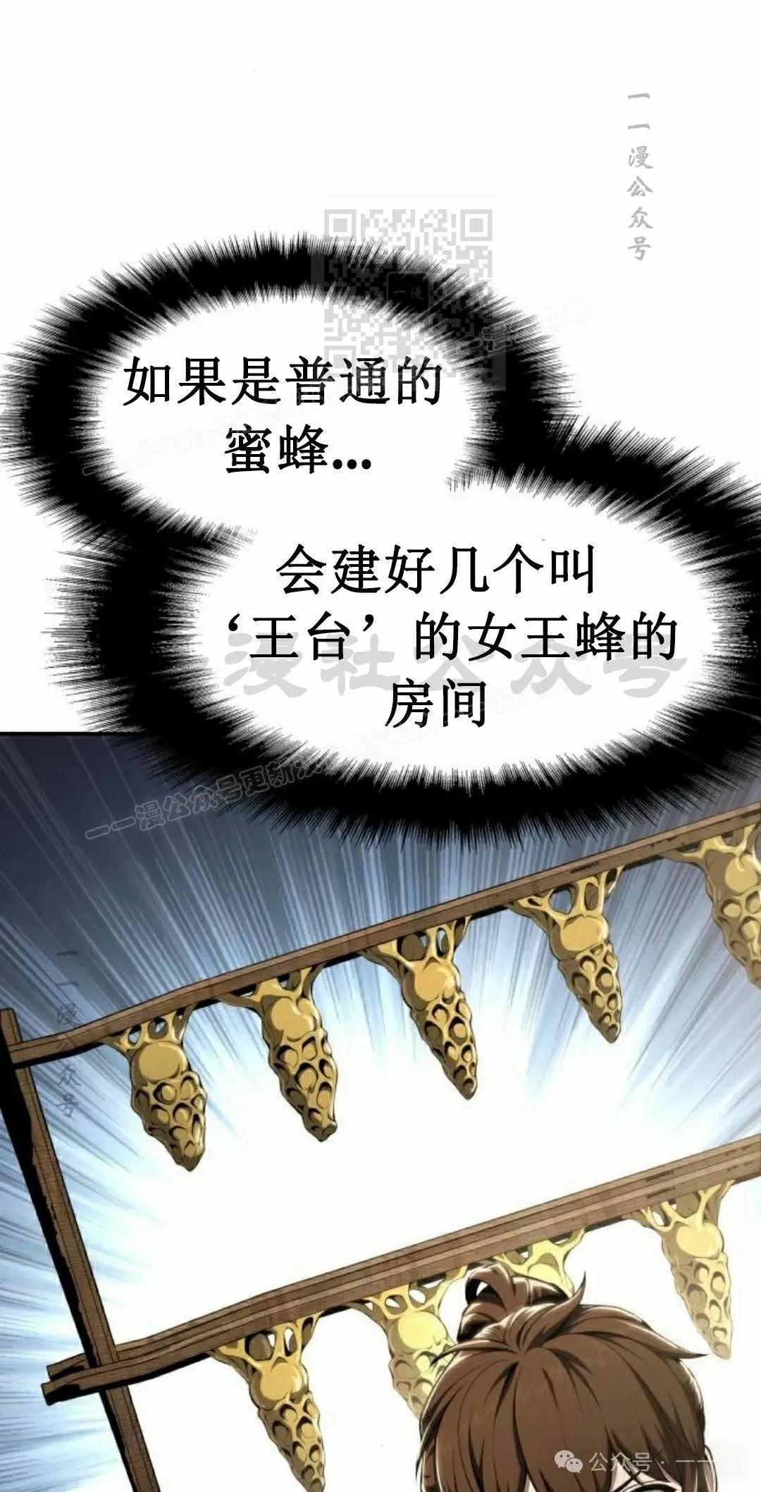 第237页