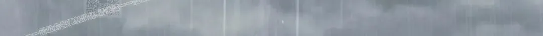 第501页