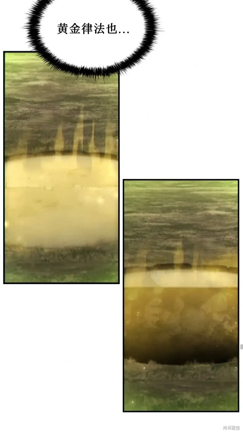 第231页