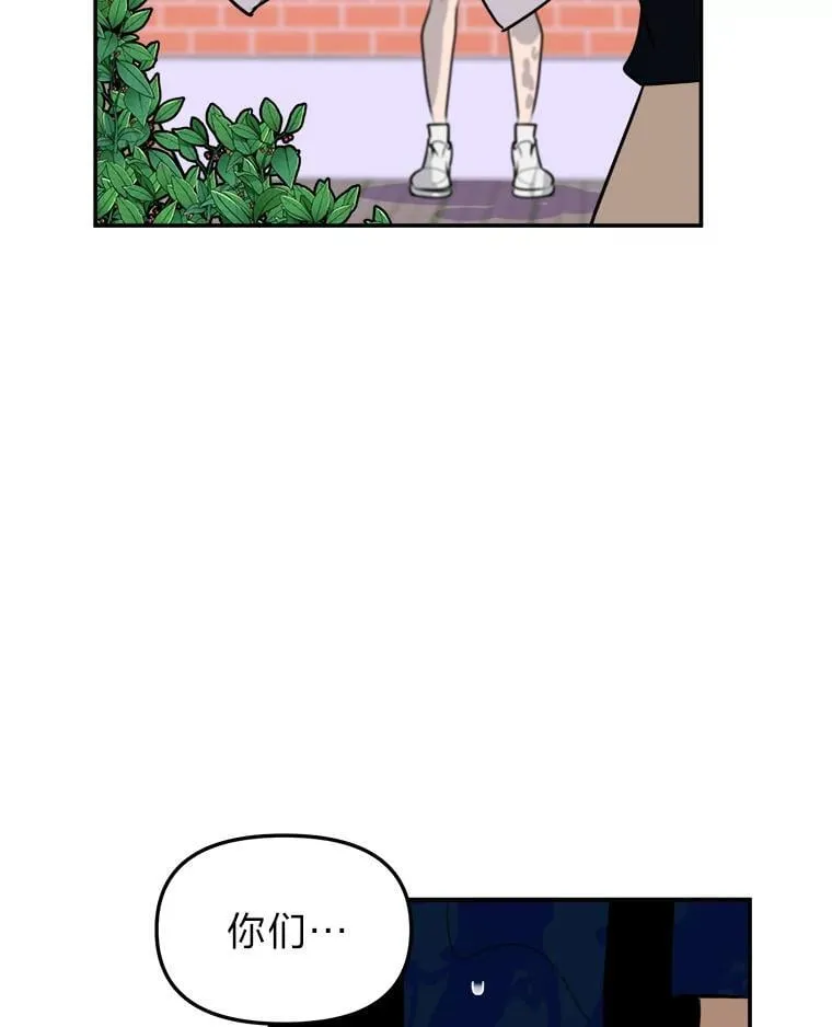 第333页