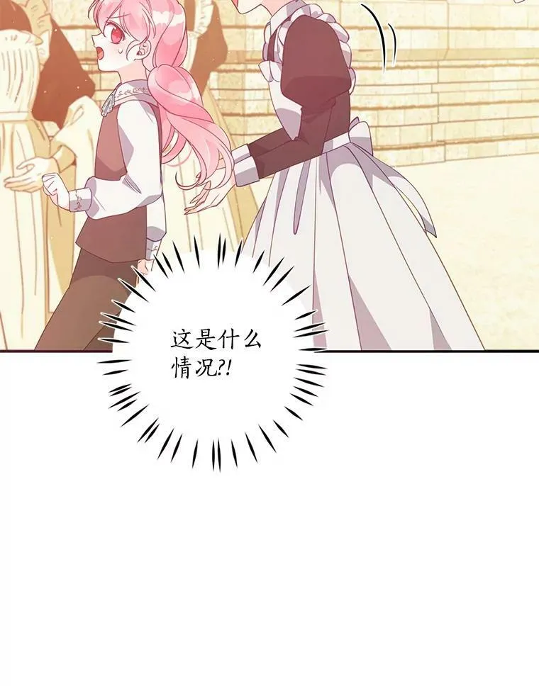 第231页
