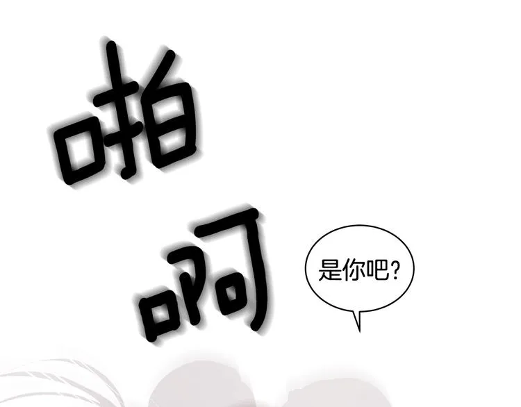 第294页