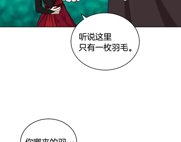 第255页