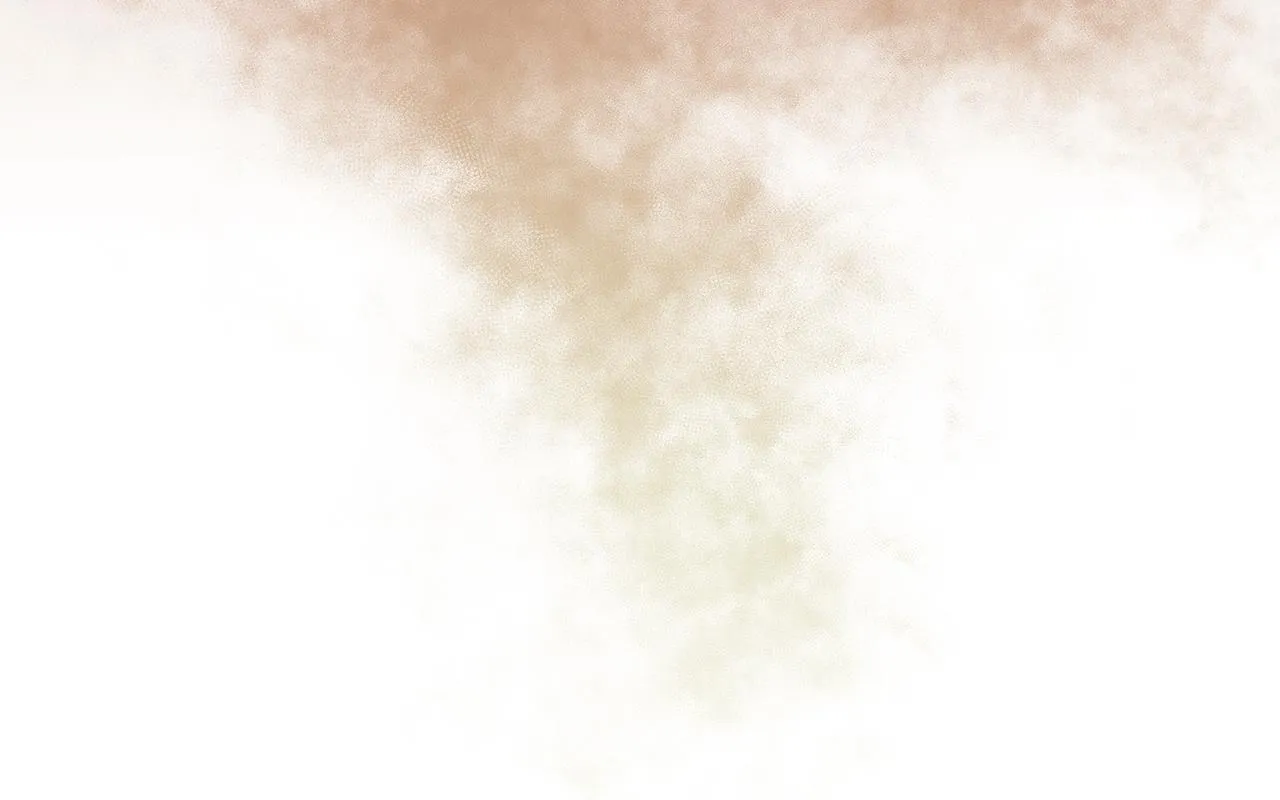 第243页