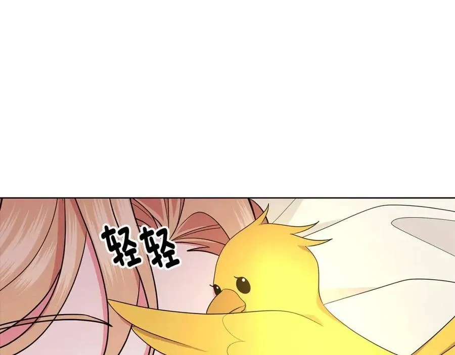 第333页