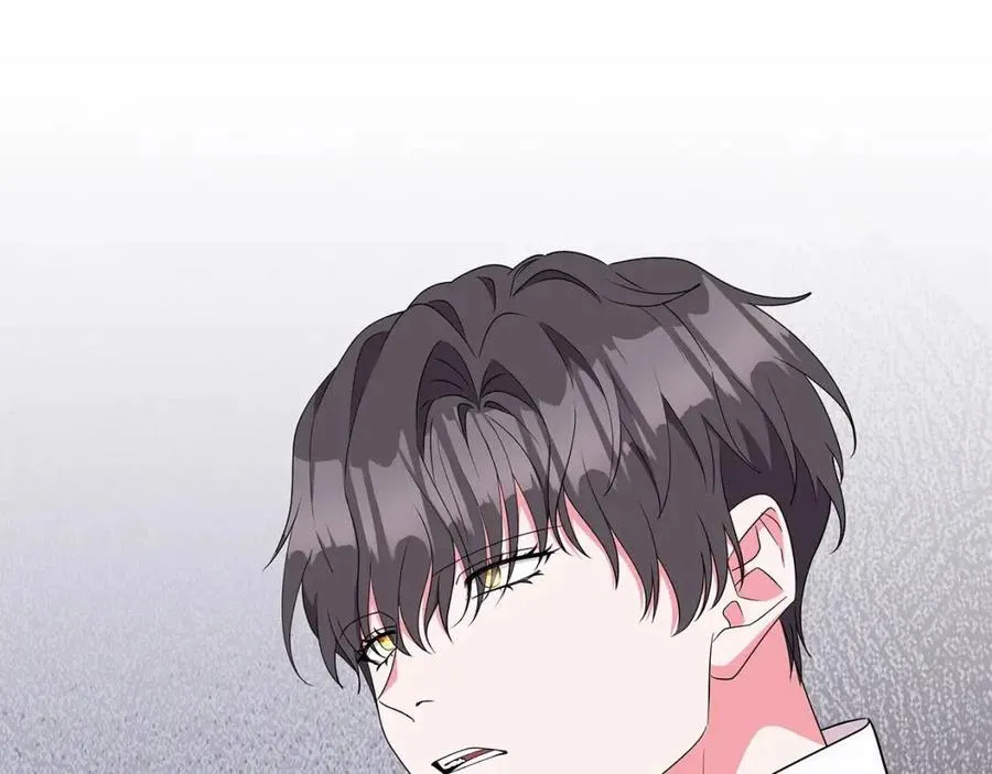 第426页