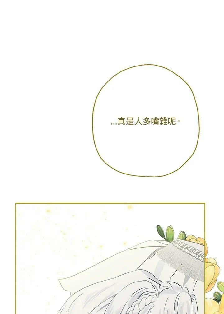 第234页