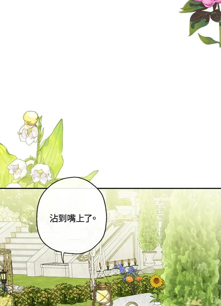 第231页