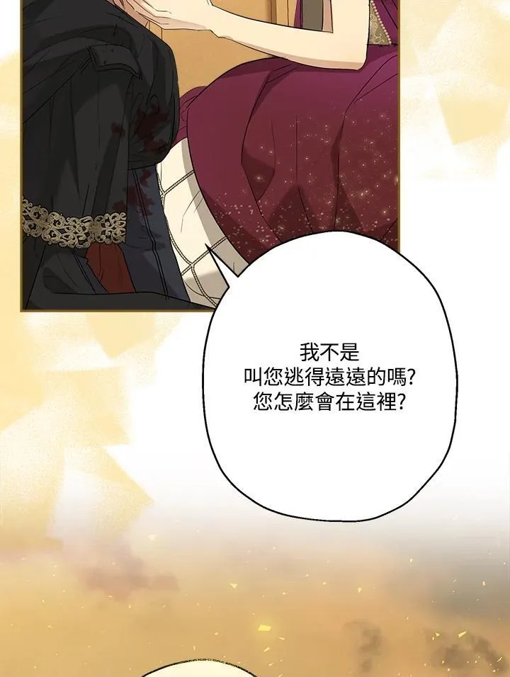 第213页