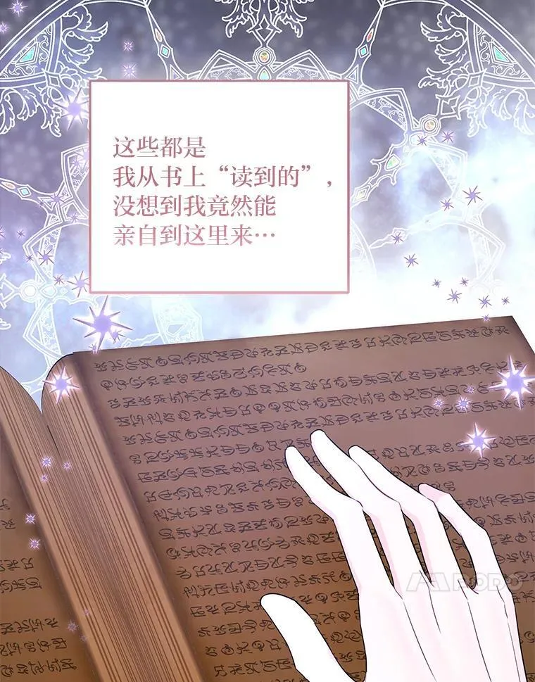 第231页