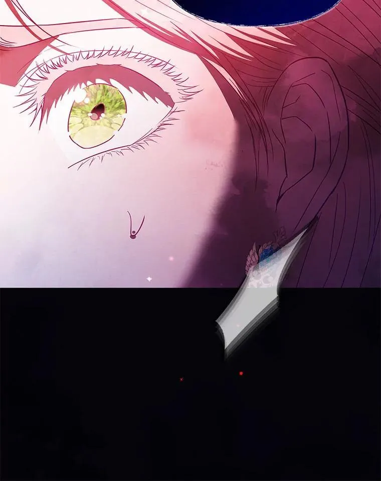 第231页