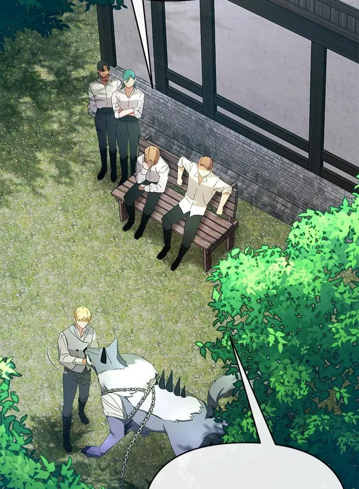 第219页