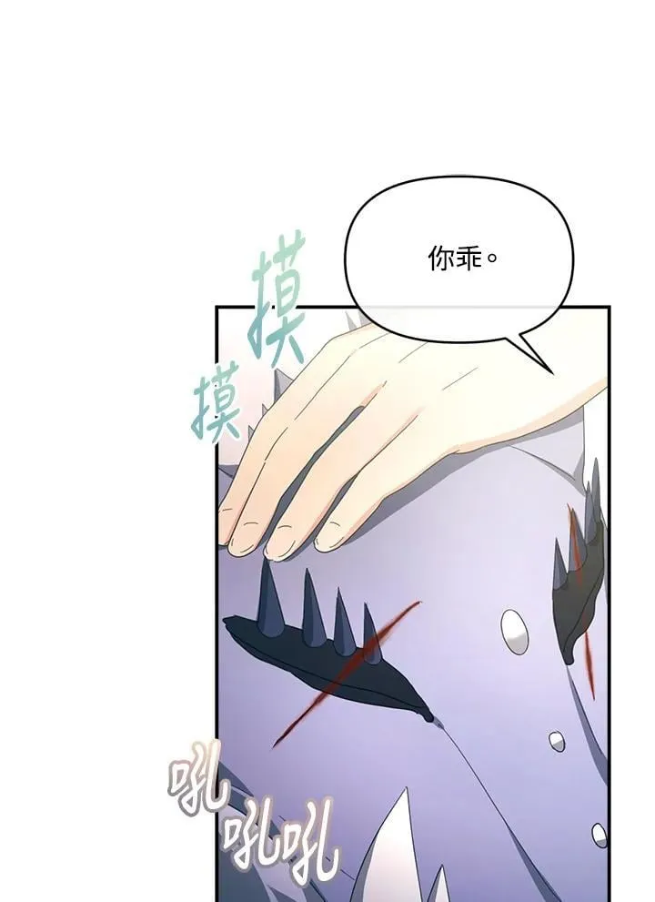 第258页