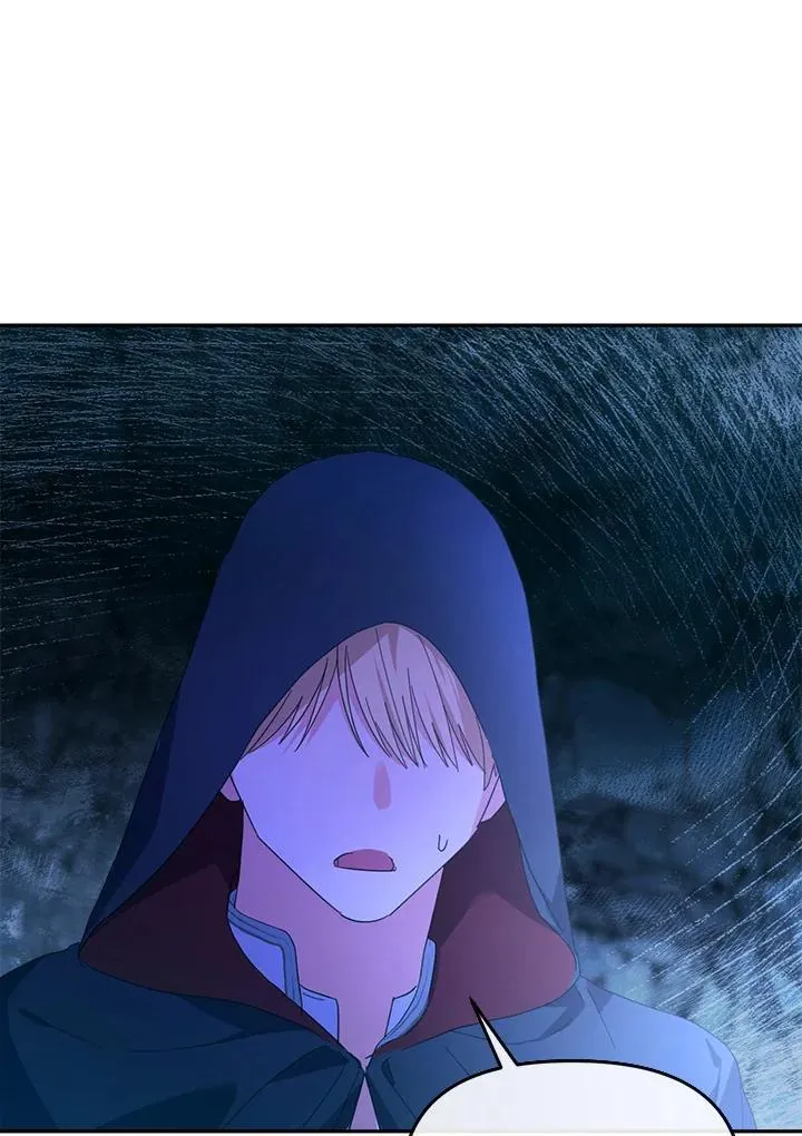 第231页