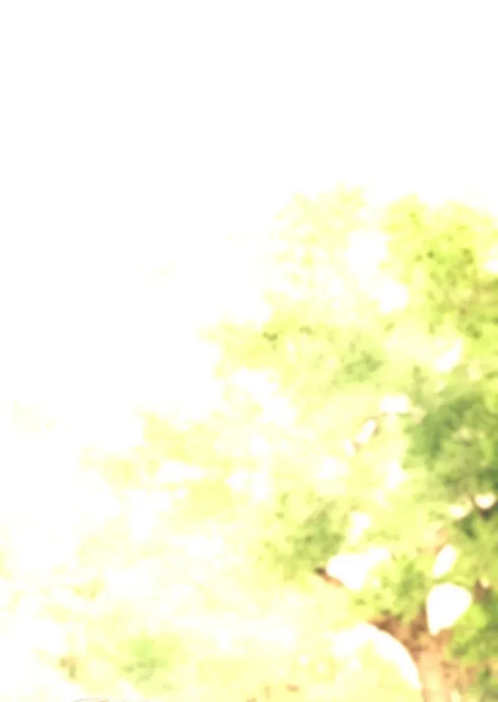 第375页