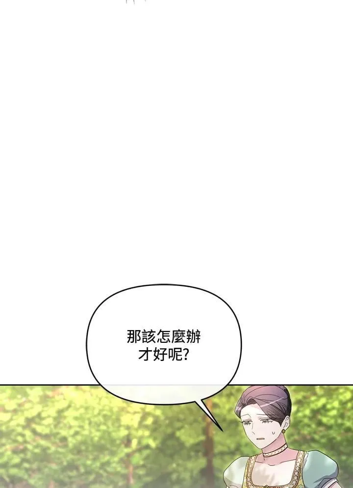 第333页