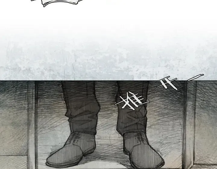 第231页